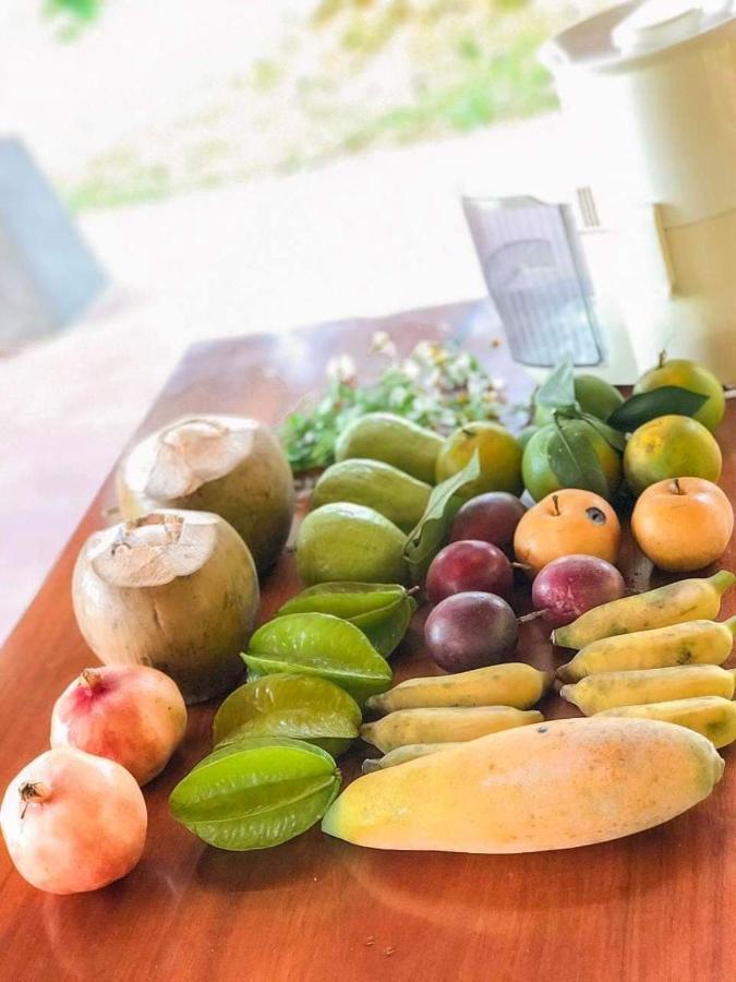 Pài Bjooc homestay Tuyen Quang Luaran gambar