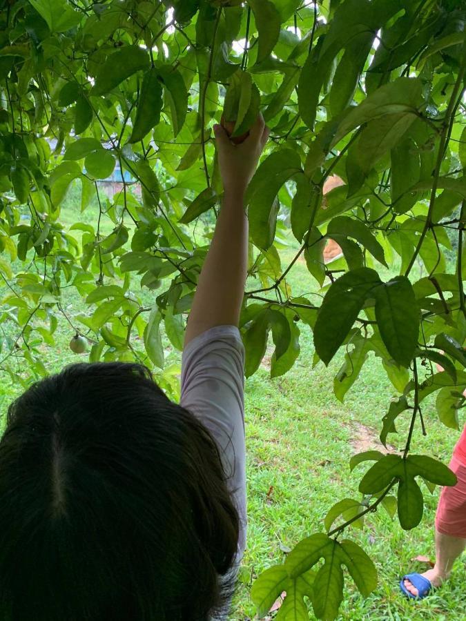 Pài Bjooc homestay Tuyen Quang Luaran gambar