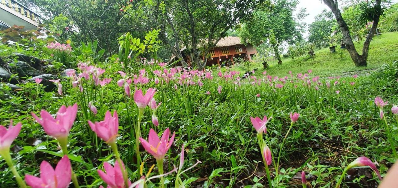 Pài Bjooc homestay Tuyen Quang Luaran gambar